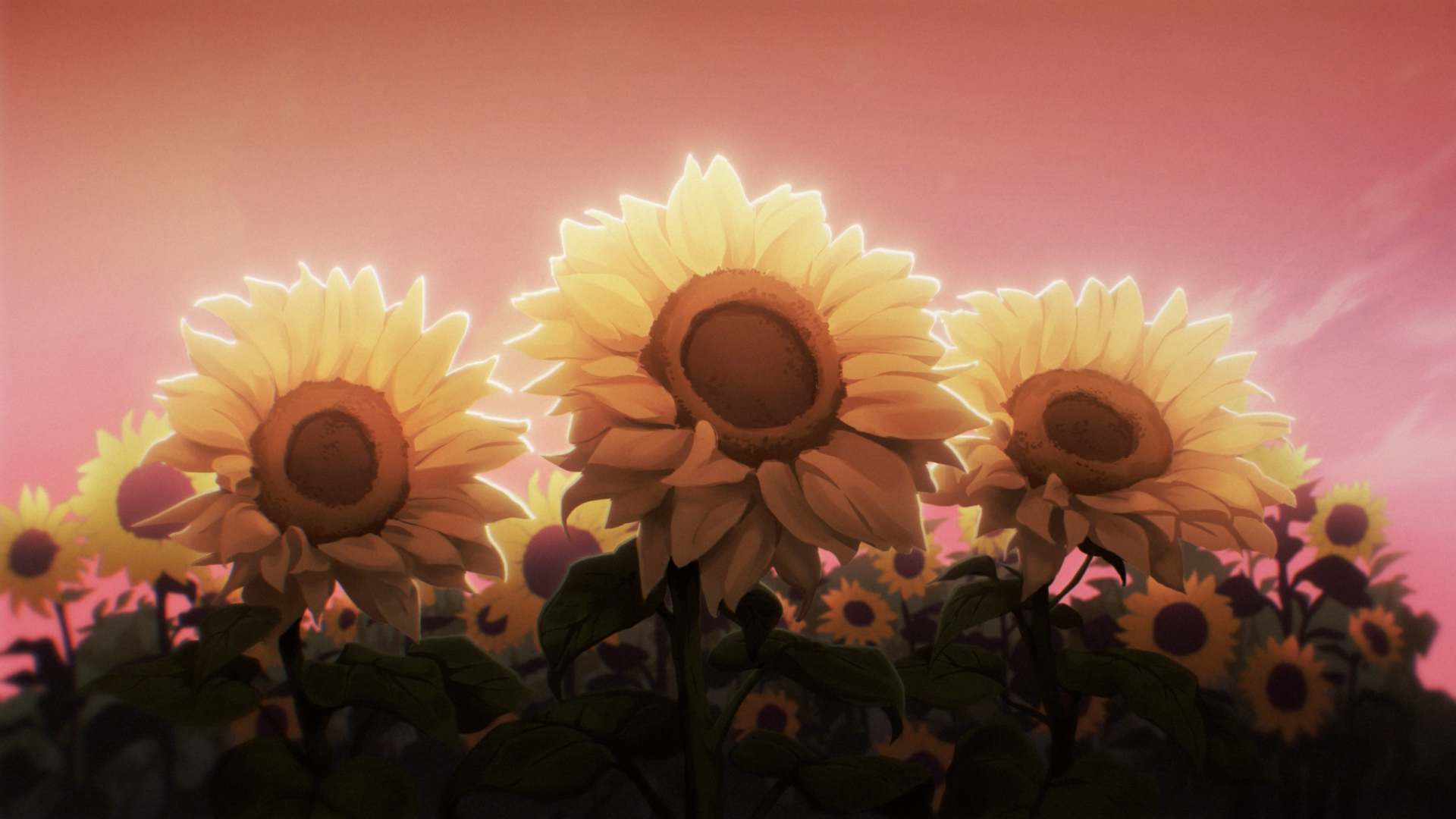 FINAL_TRAILER_BM_PILOT.00_00_15_14.Still005.jpg